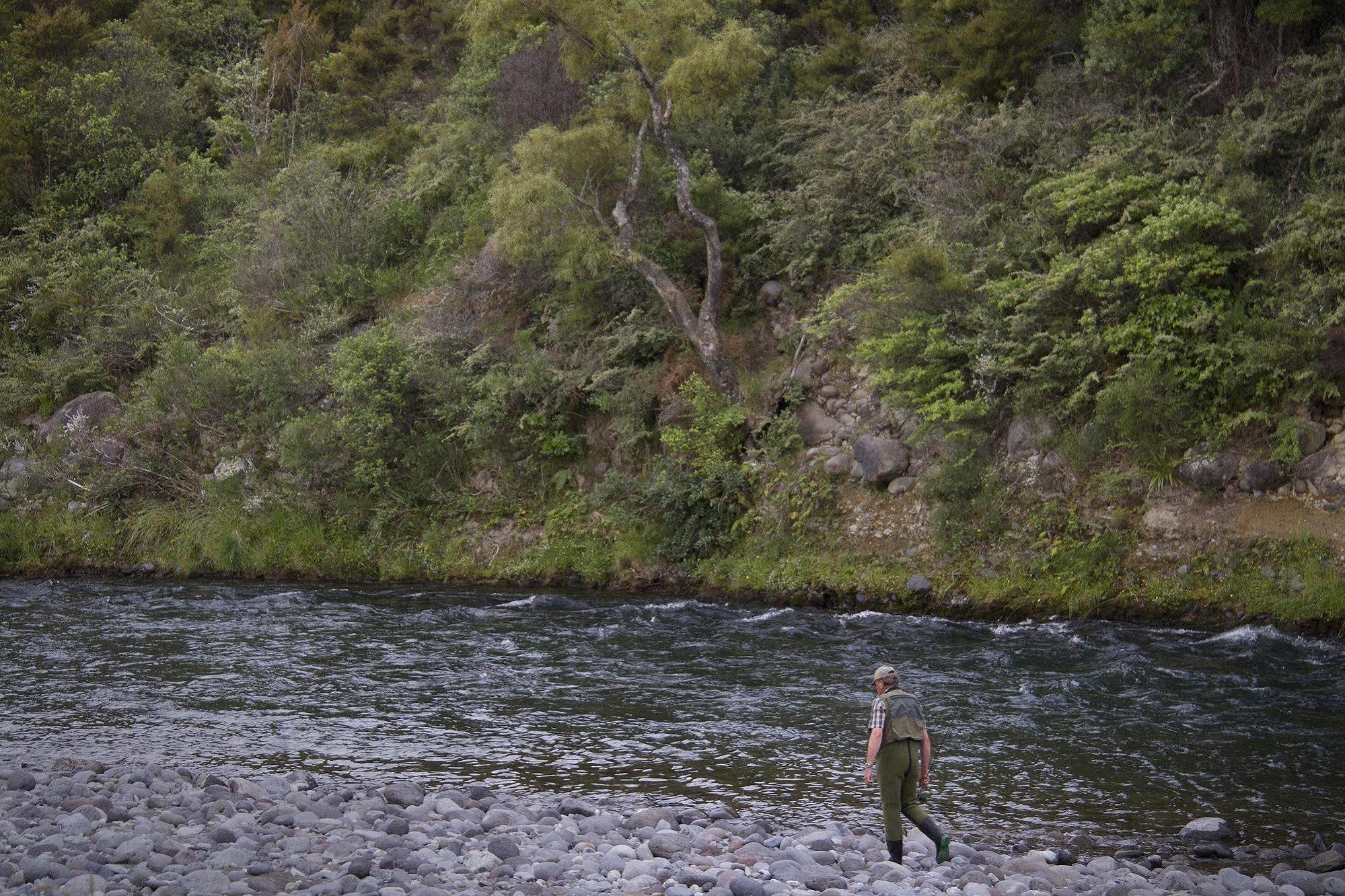 Turangi Trout Lodge Ngoại thất bức ảnh