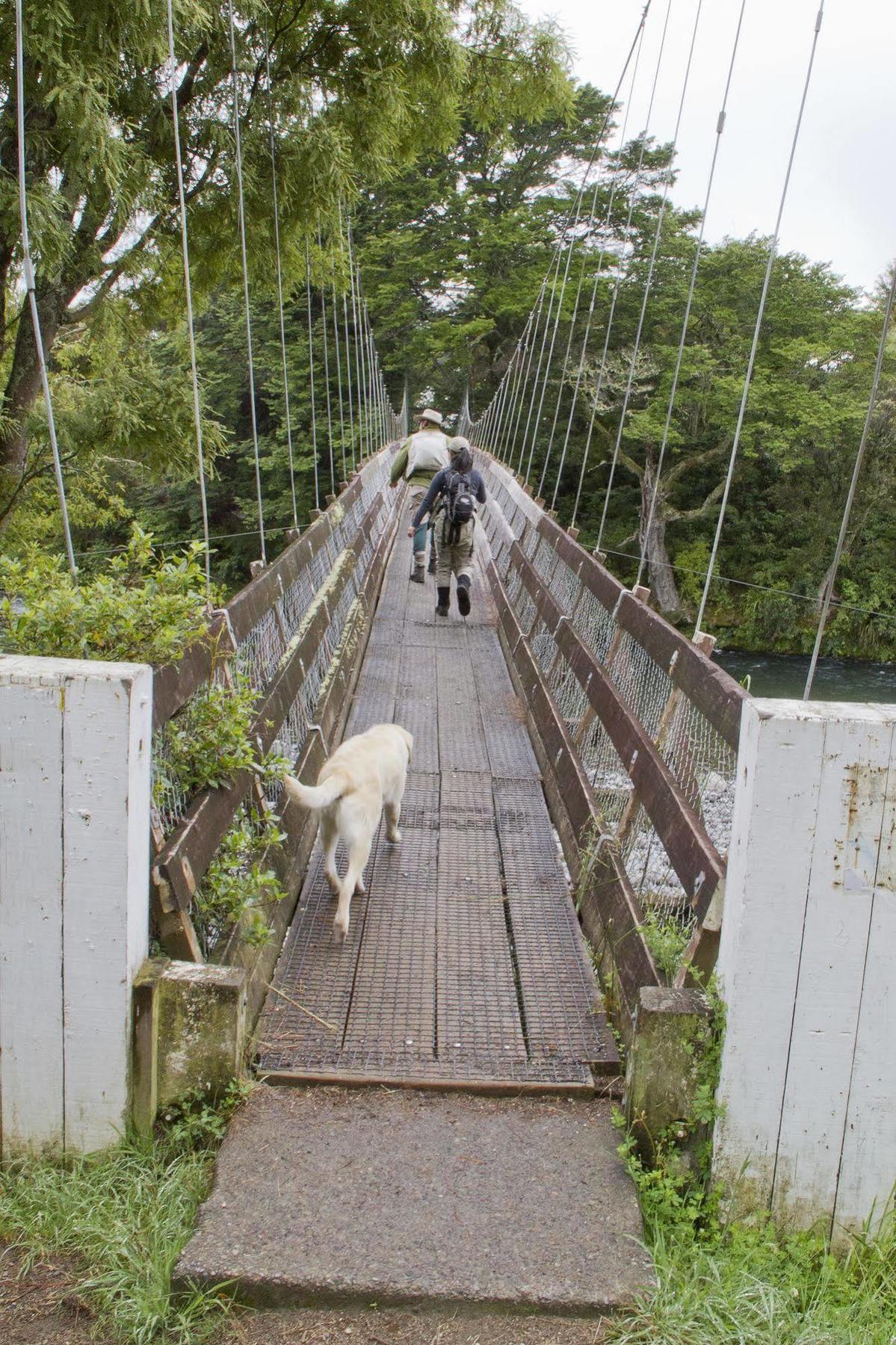Turangi Trout Lodge Ngoại thất bức ảnh