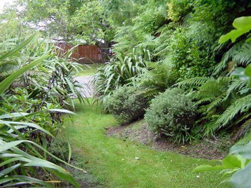 Turangi Trout Lodge Ngoại thất bức ảnh